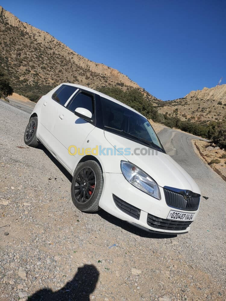 Skoda Fabia 2014 