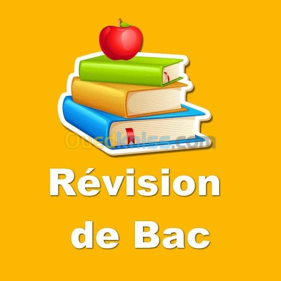 COURS INDIVIDUELS À DOMICILE BAC ET BEM