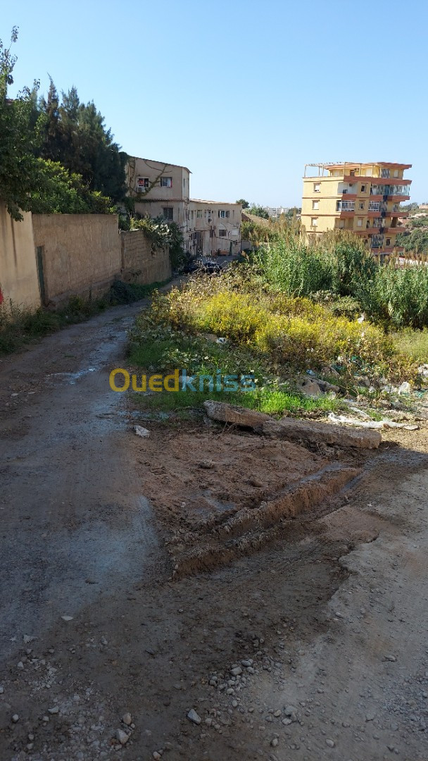 Vente Terrain Alger Cheraga