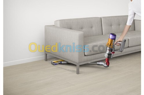 Dyson v12 detect slim absolute