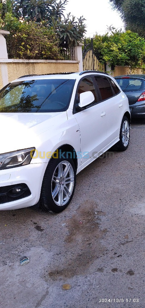 Audi Q5 2012 Sliene