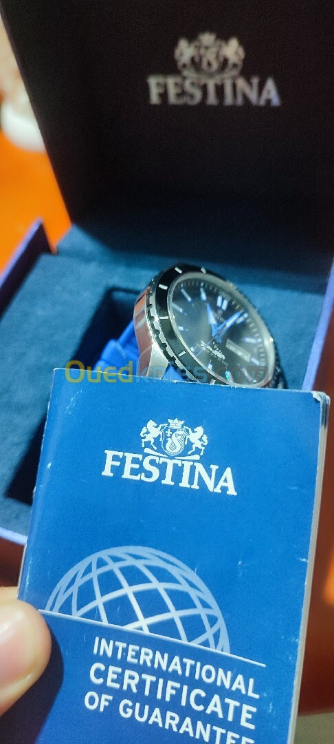 Festina 