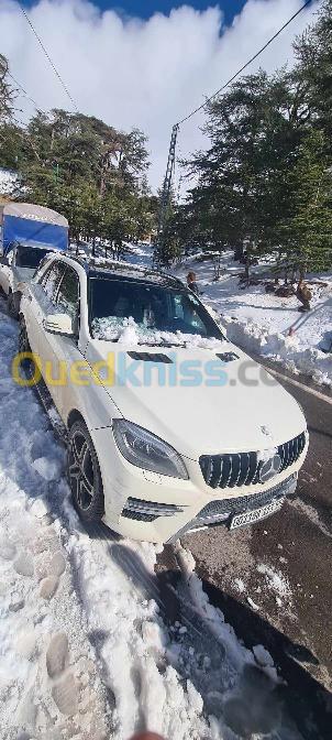 Mercedes Ml 2013 Pack amg