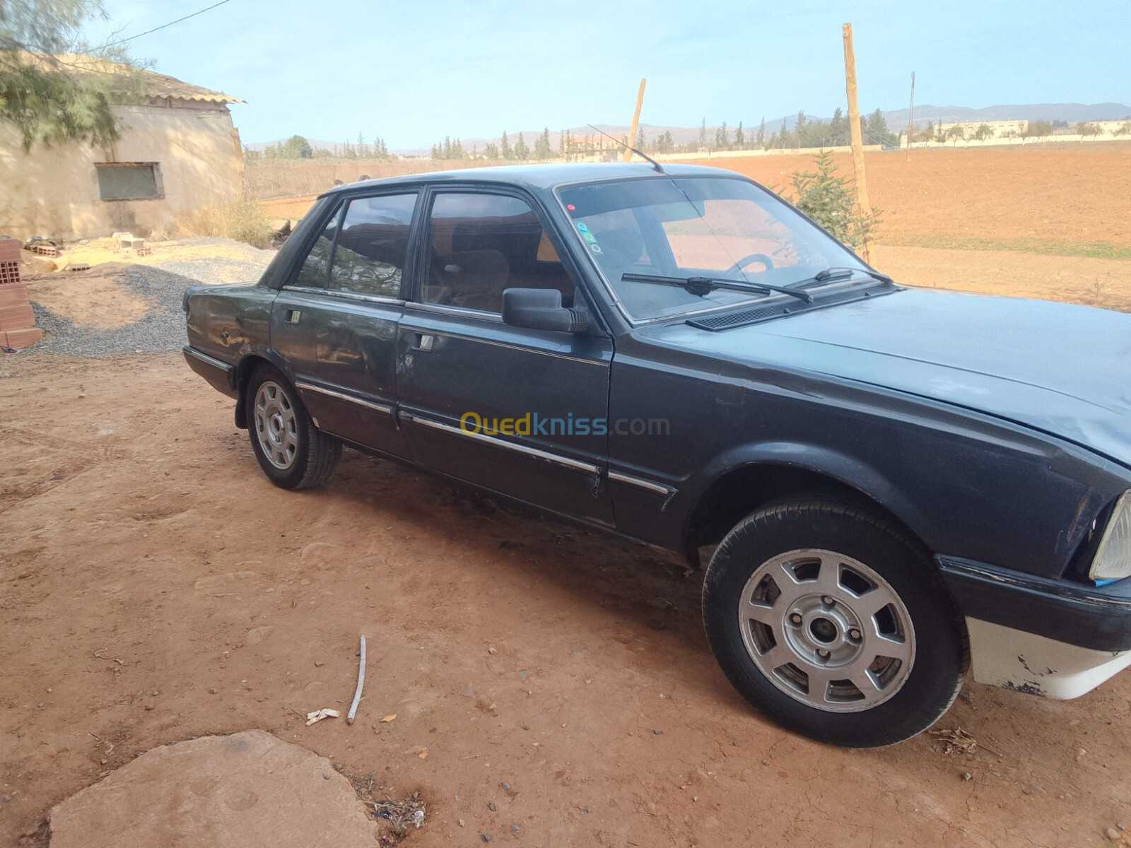 Peugeot 505 1989 