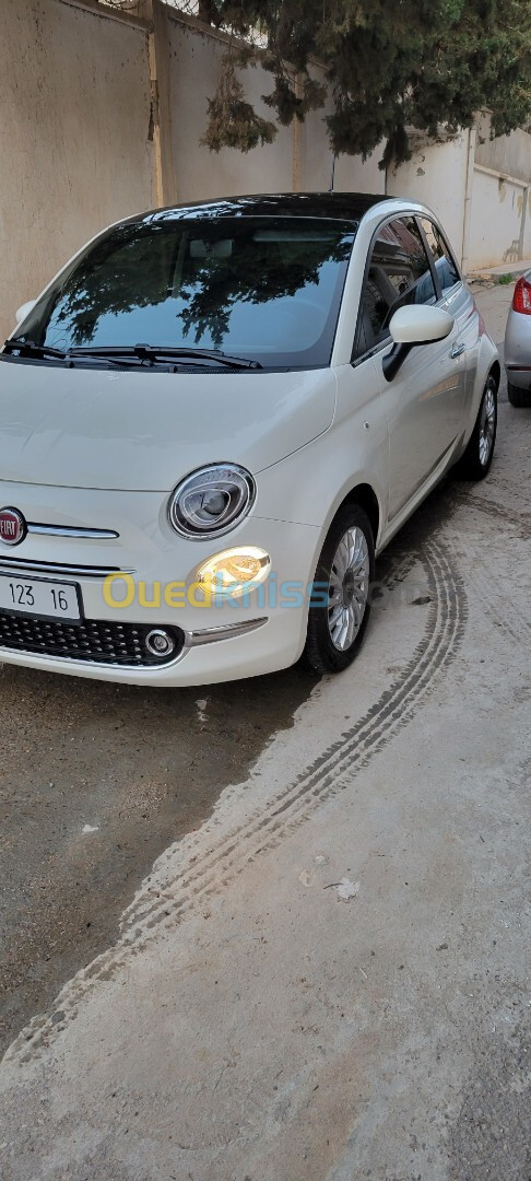 Fiat 500 2023 Club