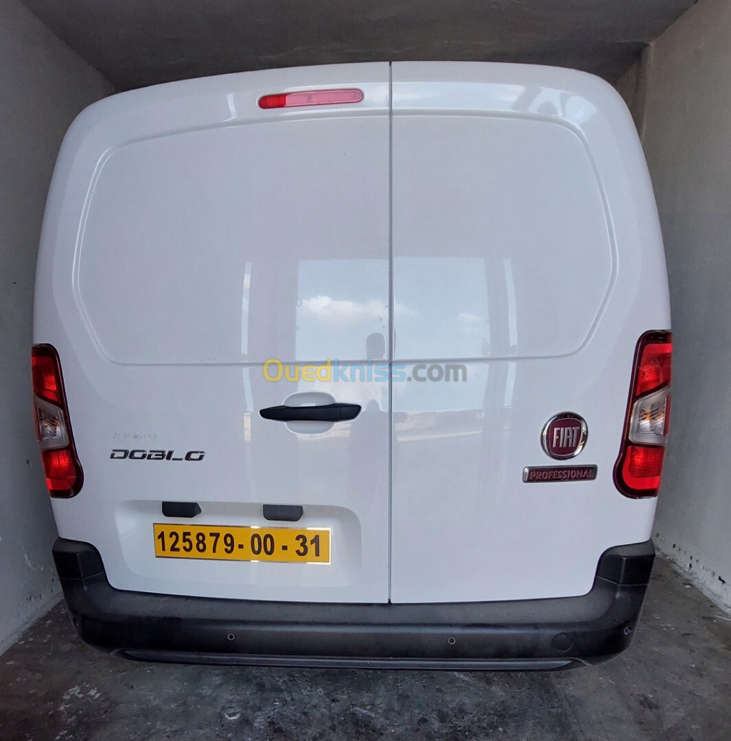 Fiat Doblo 2024 Fiat dz