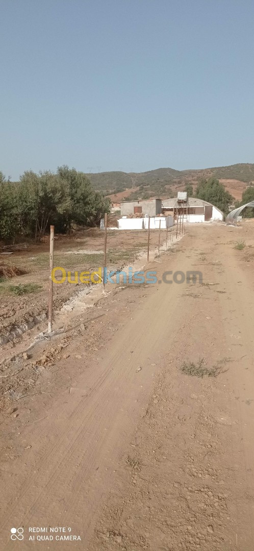 Vente Terrain Boumerdès Boudouaou