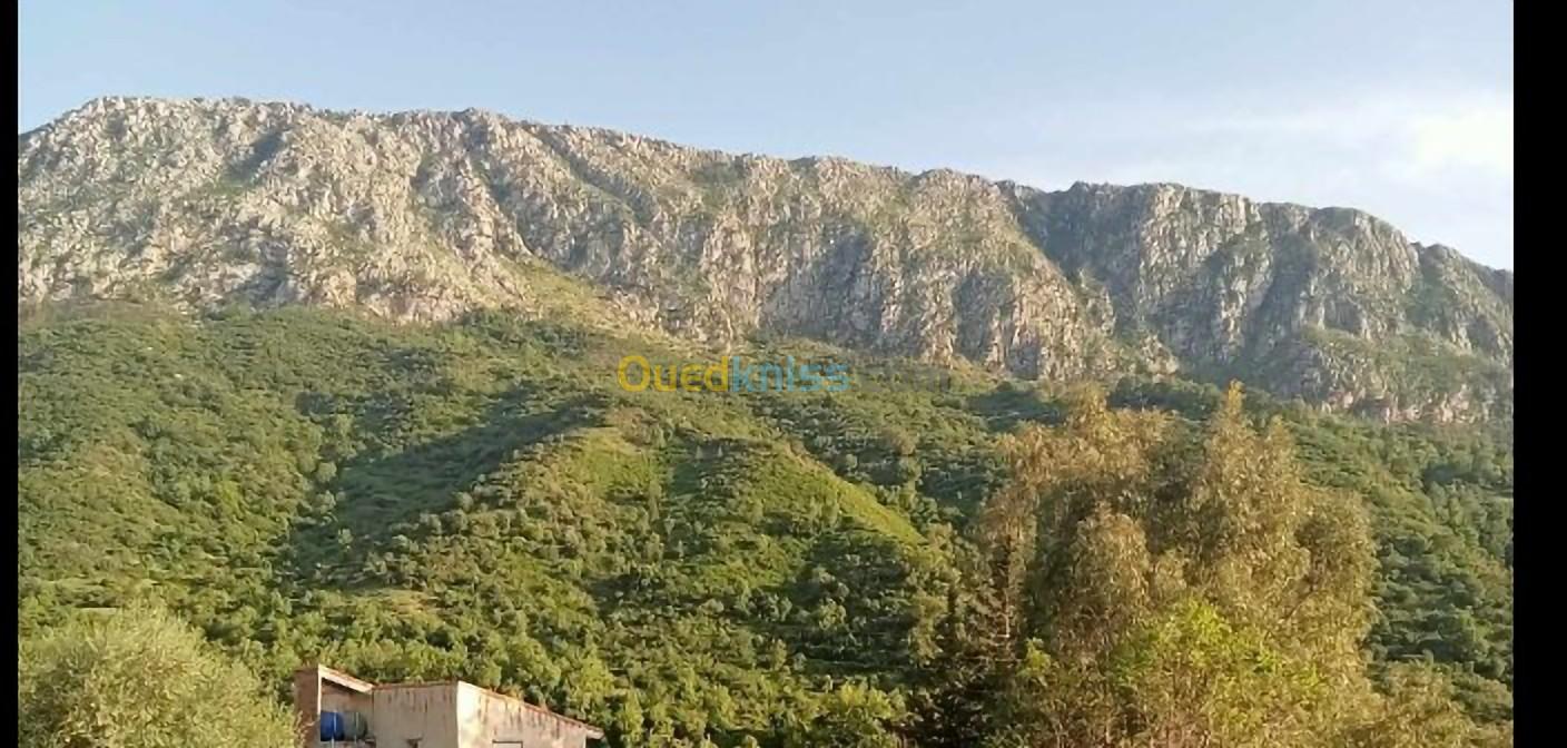 Location Niveau De Villa F3 Jijel El aouana