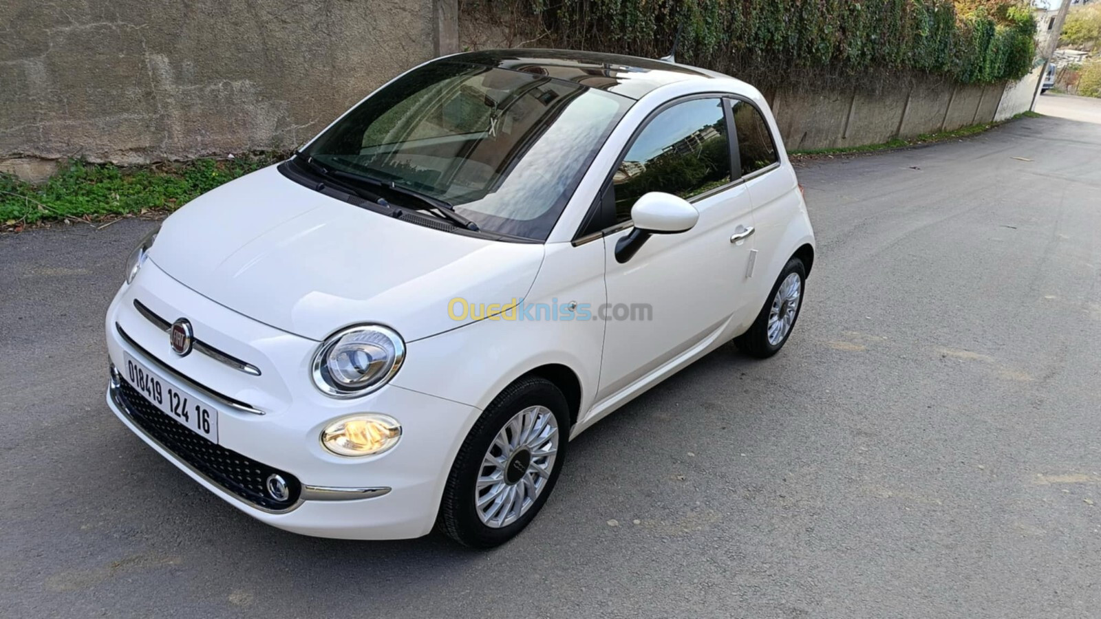 Fiat 500 italienne 2024 Club