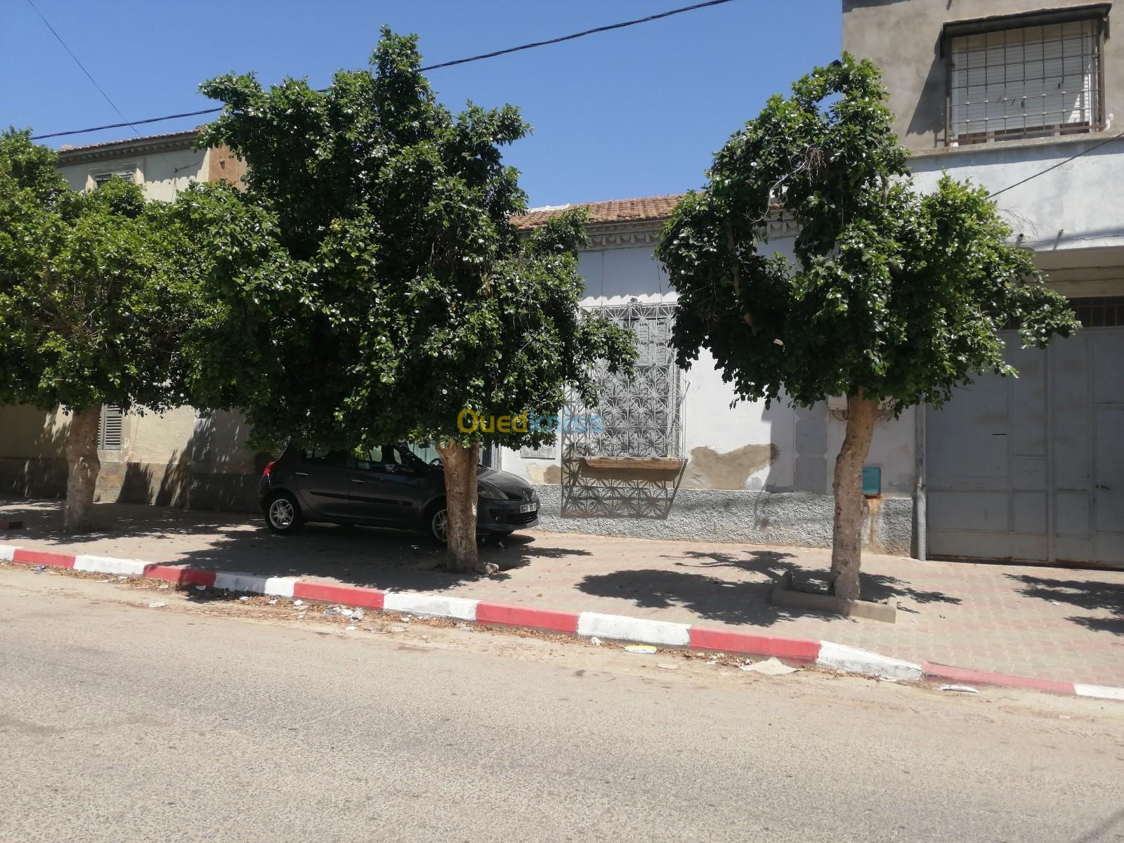 Vente Niveau De Villa F9 Oran Hassi bounif