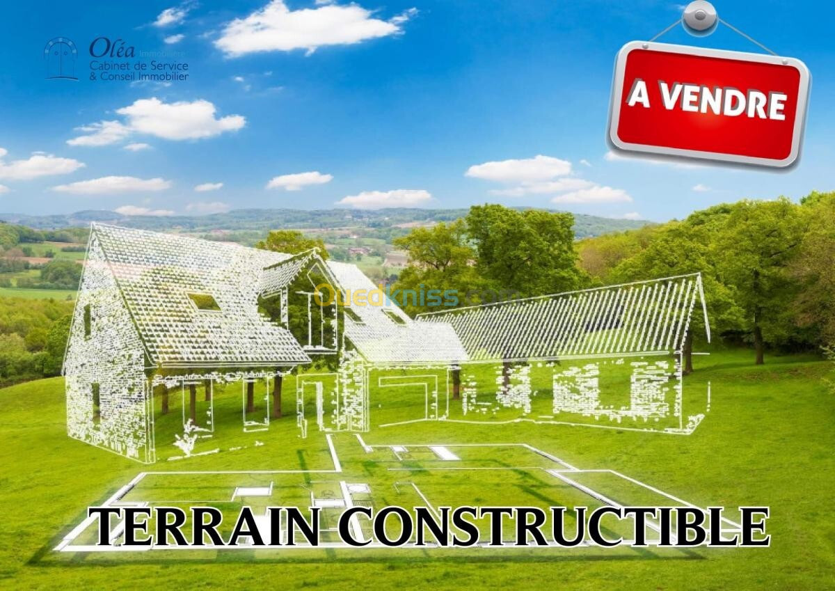 Vente Terrain Alger Birkhadem