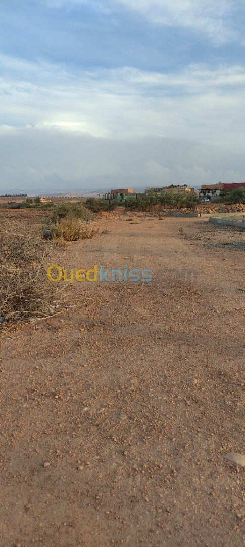 Vente Terrain Tlemcen Zenata