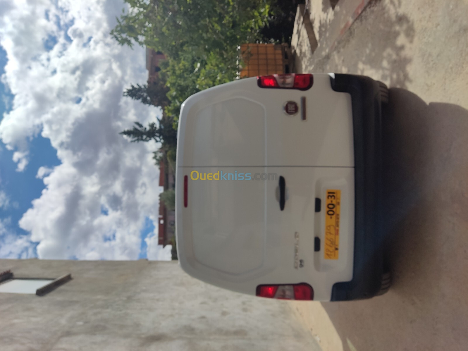 Fiat Doblo 2024 Professional