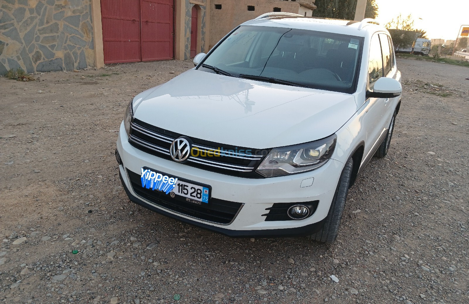 Volkswagen Tiguan 2015 Cup