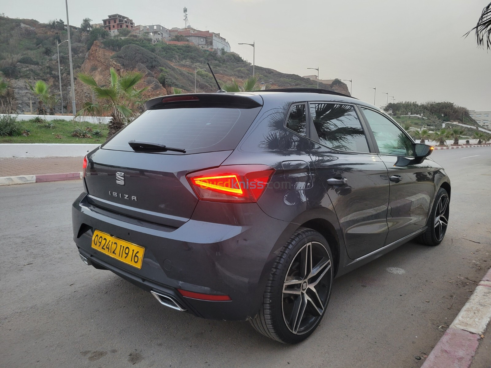 Seat Ibiza 2019 Ibiza