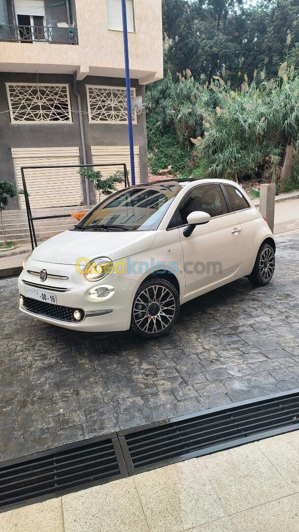 Fiat 500 2024 500