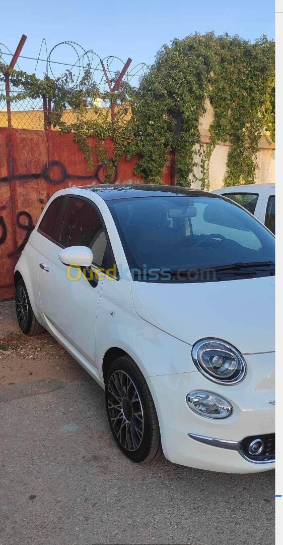 Fiat 500 2024 500