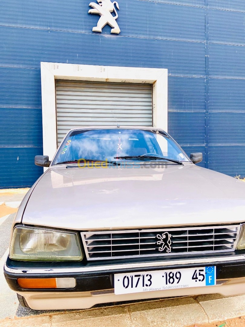 Peugeot 505 1989 