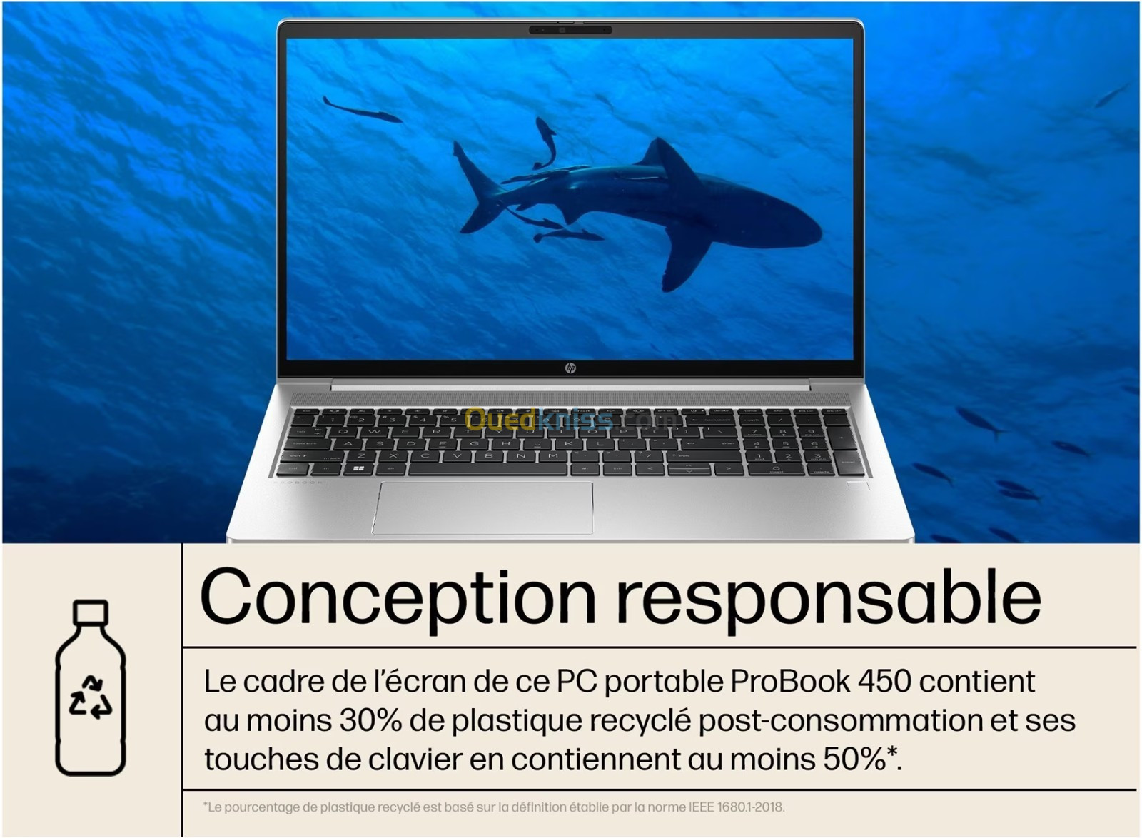 HP PROBOOK 450 G10 i5 1335U 8Go SSD 512Go Ecran 15.6" FHD