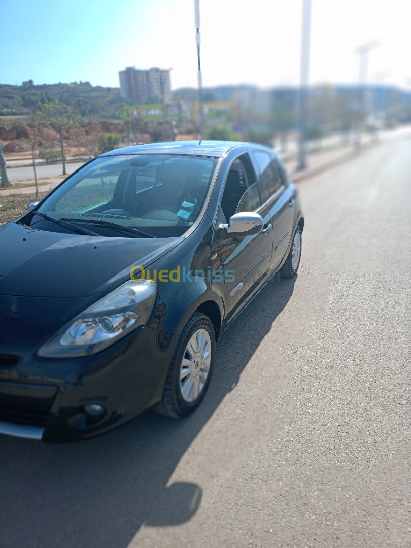 Renault Clio 3 2012 Night and Day