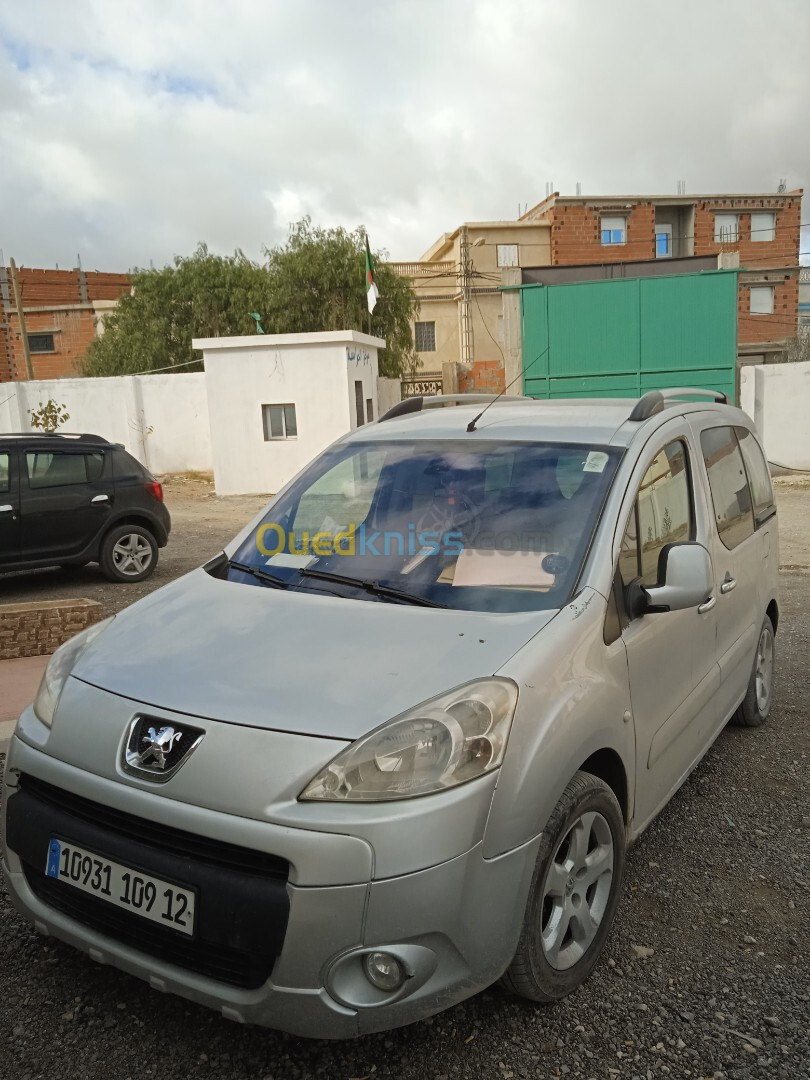 Peugeot Partner 2009 Tepee Allure 