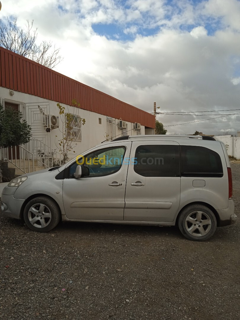 Peugeot Partner 2009 Tepee Allure 