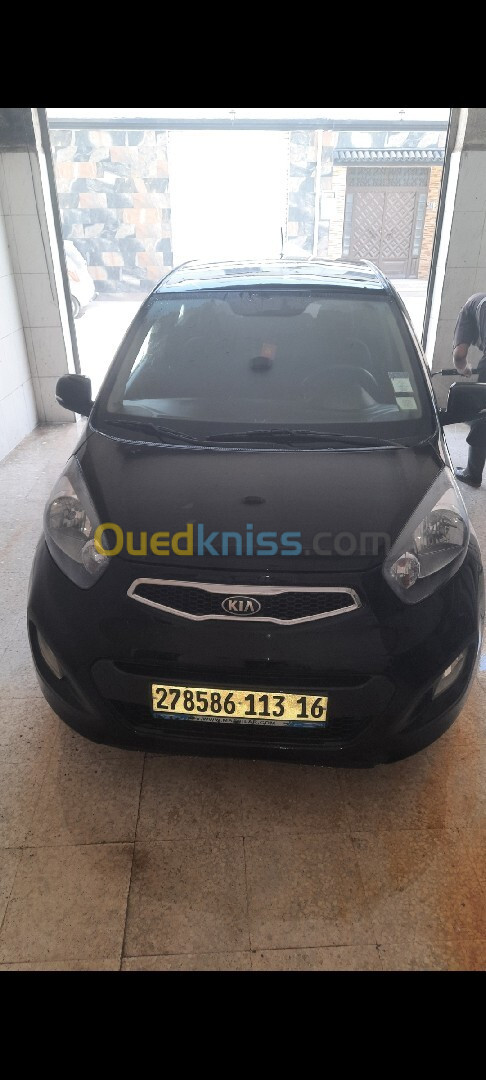 Kia Picanto 2013 Funny