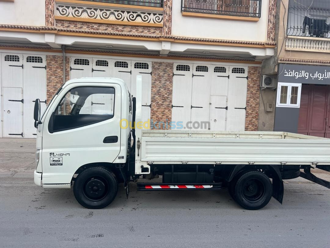 Camion FOTON 2014