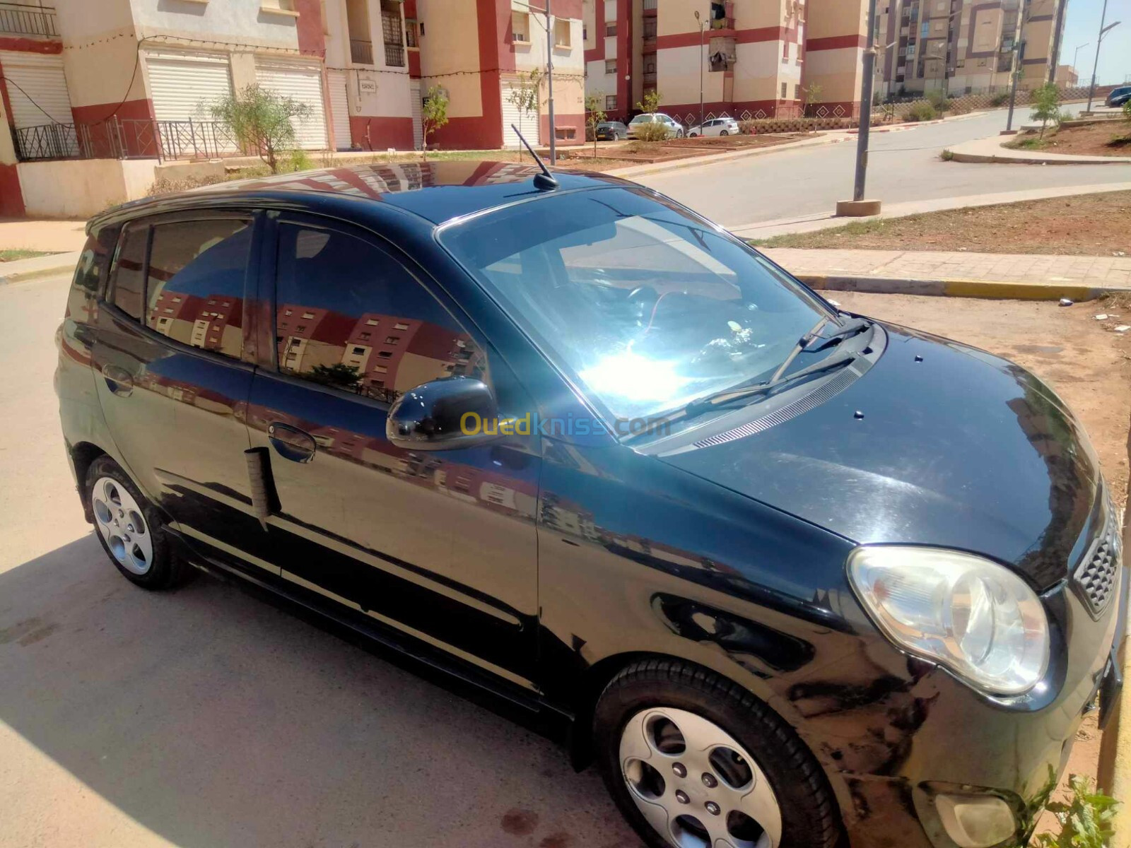 Kia Picanto 2010 Fani