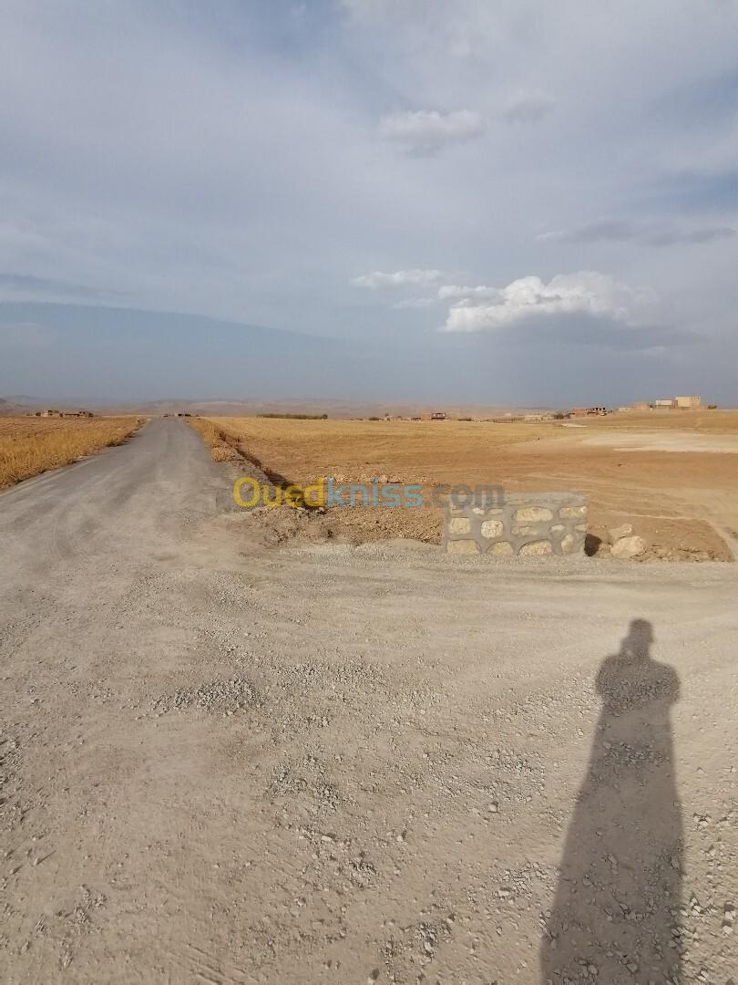 Vente Terrain Médéa Chahbounia chelalet el adhaoura