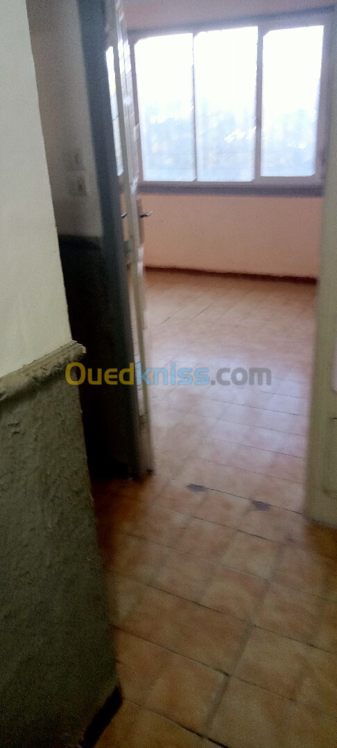 Location Appartement F3 Sidi Bel Abbès Sidi bel abbes