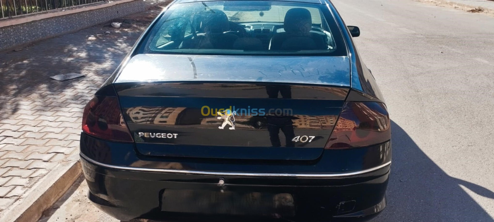 Peugeot 407 2007 407