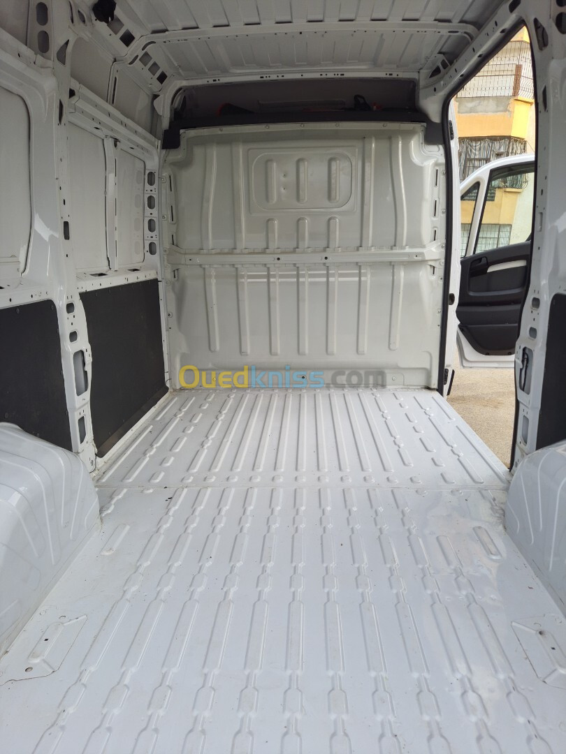 Fiat ducato 2023