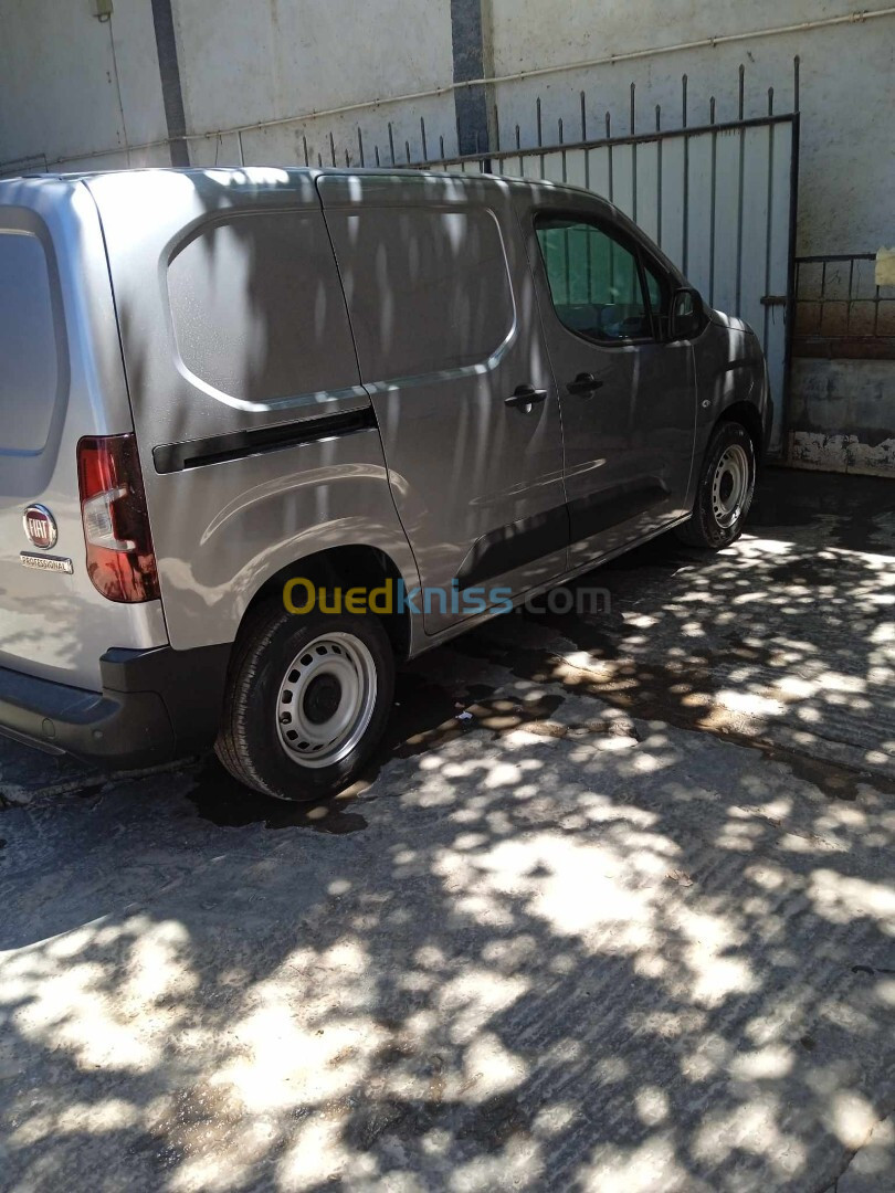 Fiat Professional Doblo 2024 