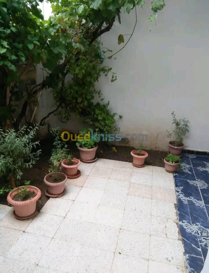 Vente Appartement Tébessa Tebessa