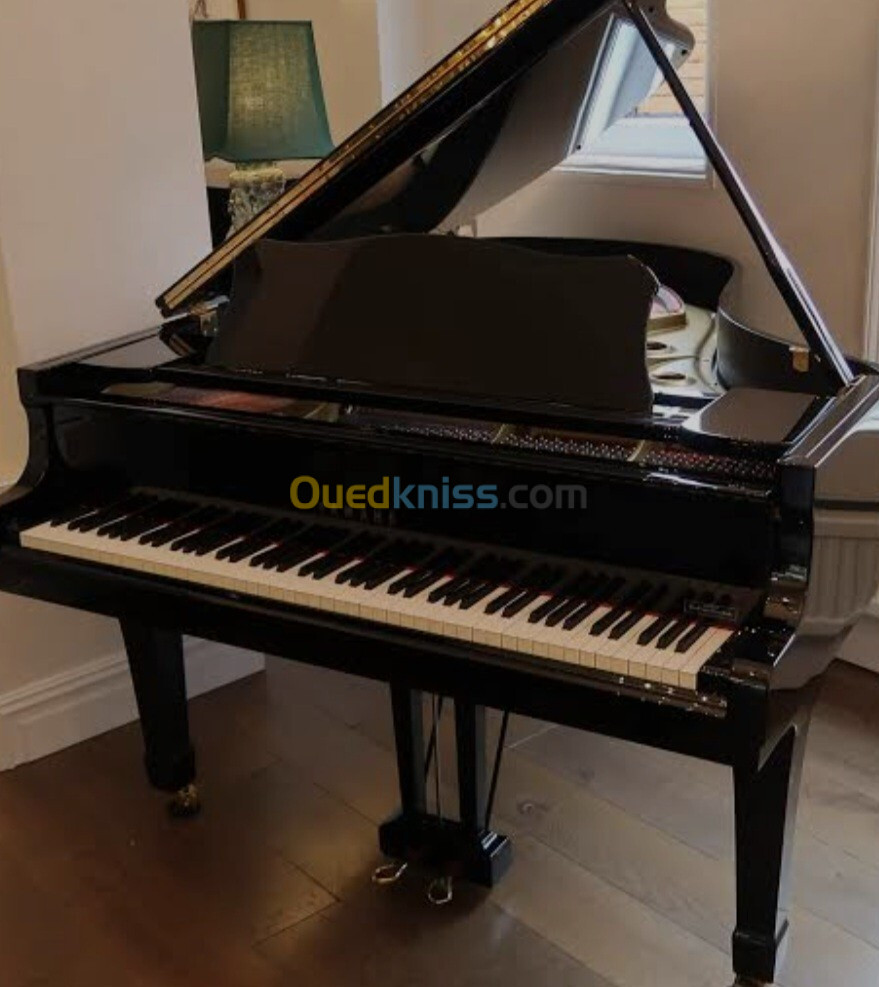 Professeur de musique, cours de piano, violon et guitare