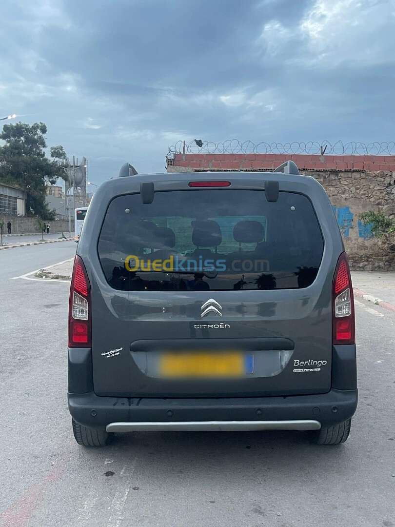 Citroen Berlingo 2017 Berlingo