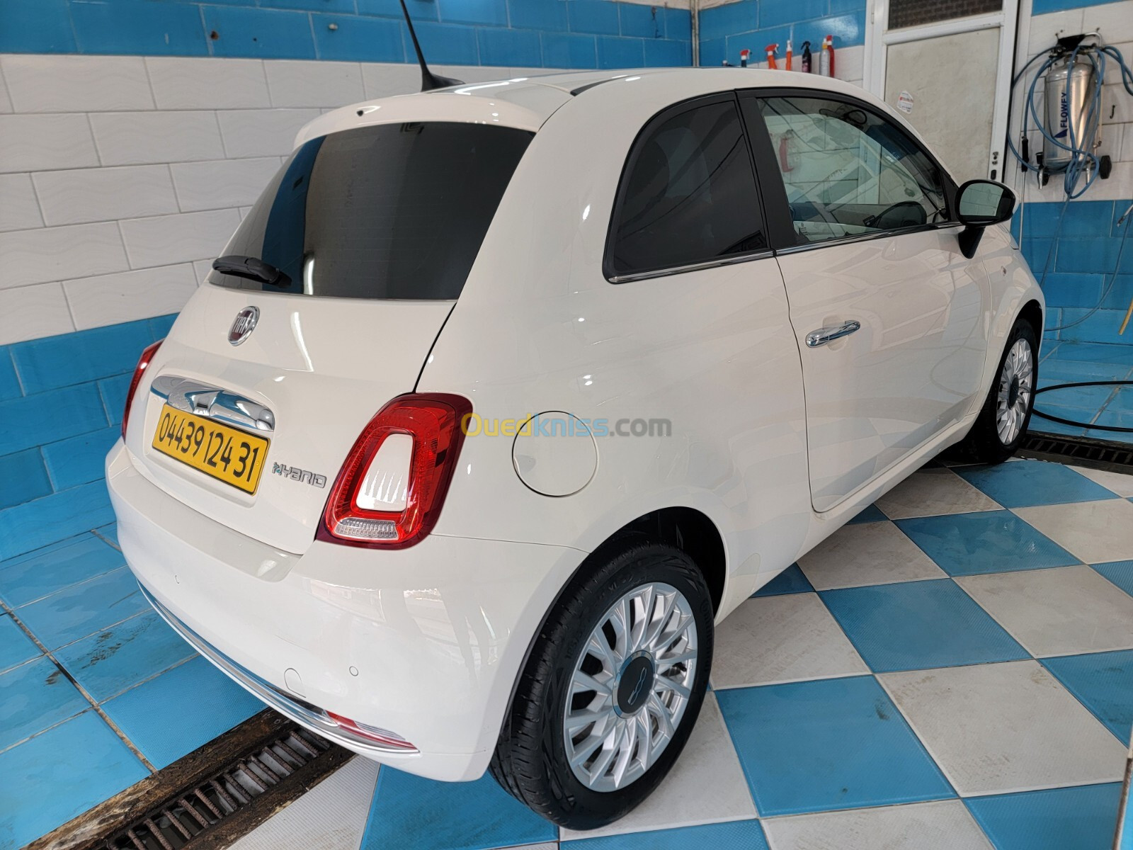 Fiat 500 2024 Clubs