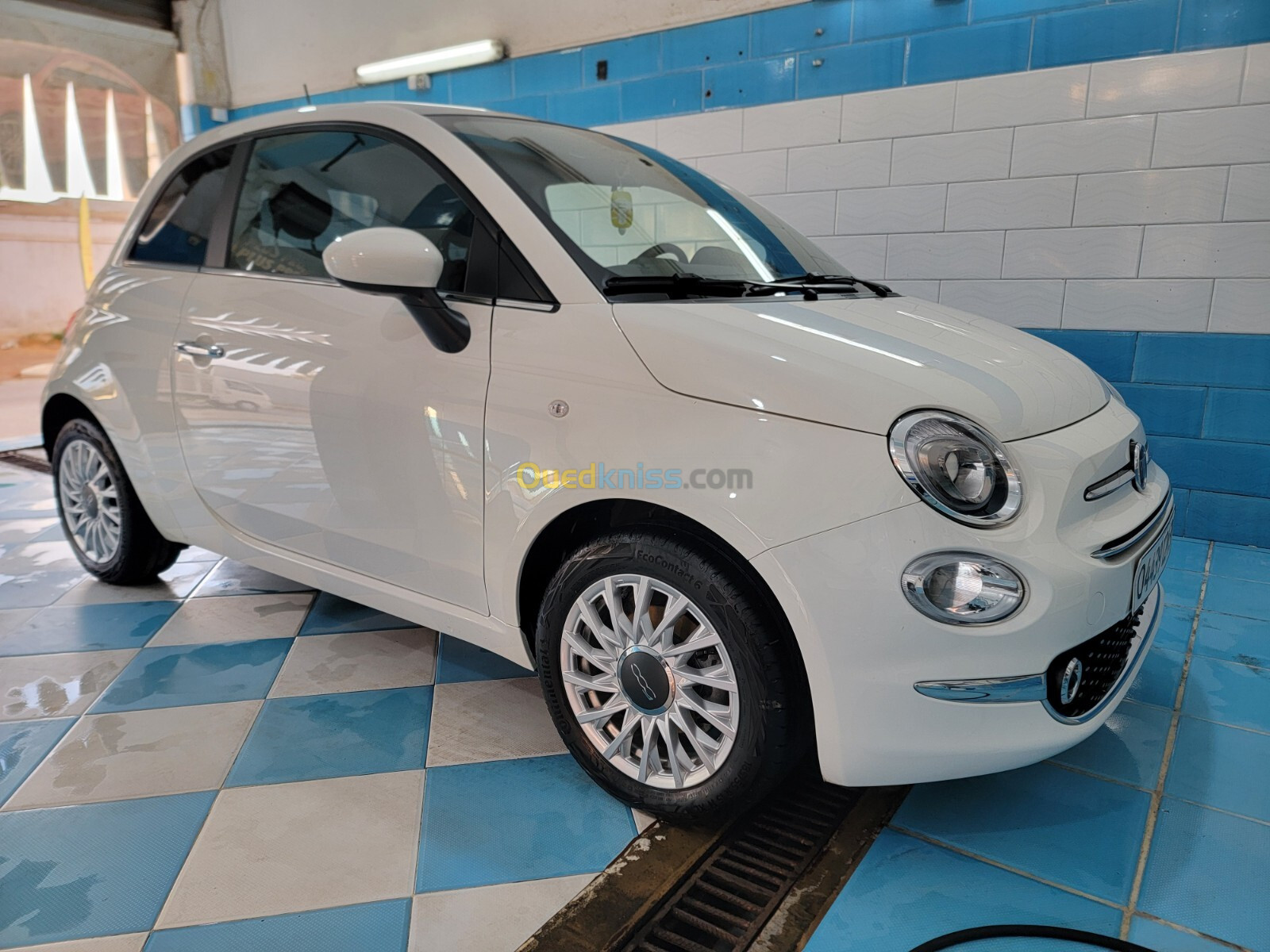 Fiat 500 2024 Clubs