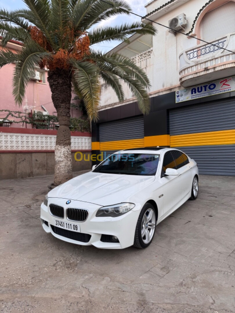 BMW Série 5 2011 520d