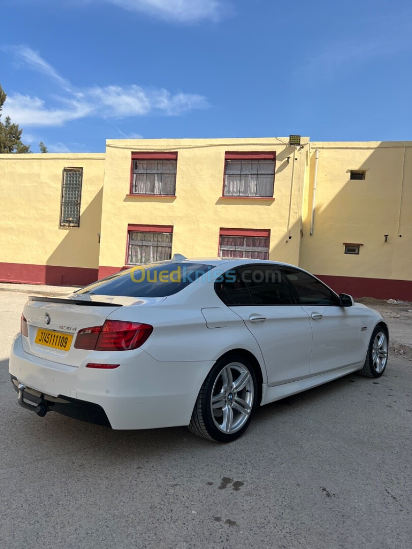 BMW Série 5 2011 520d