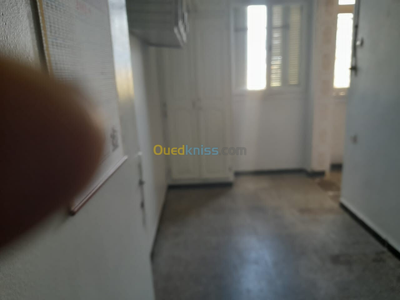 Location Appartement F3 Alger Ain naadja