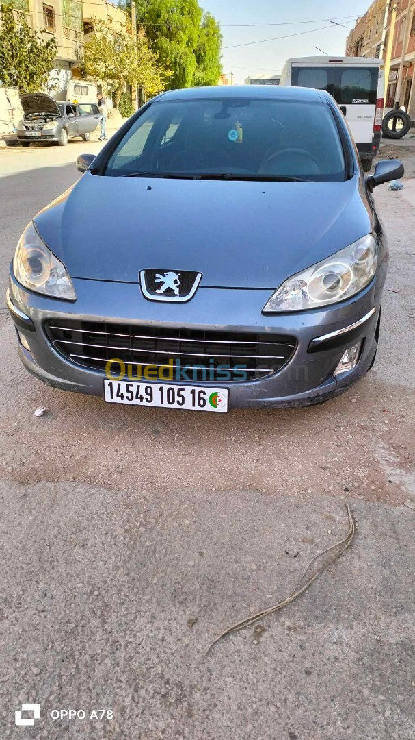 Peugeot 407 2005 407