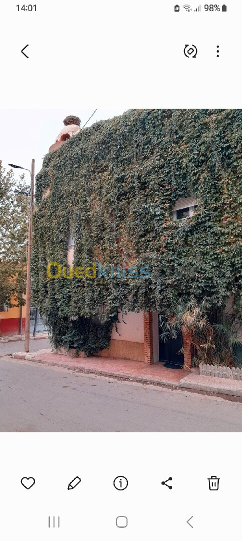 Vente Niveau De Villa F4 Tiaret Tiaret