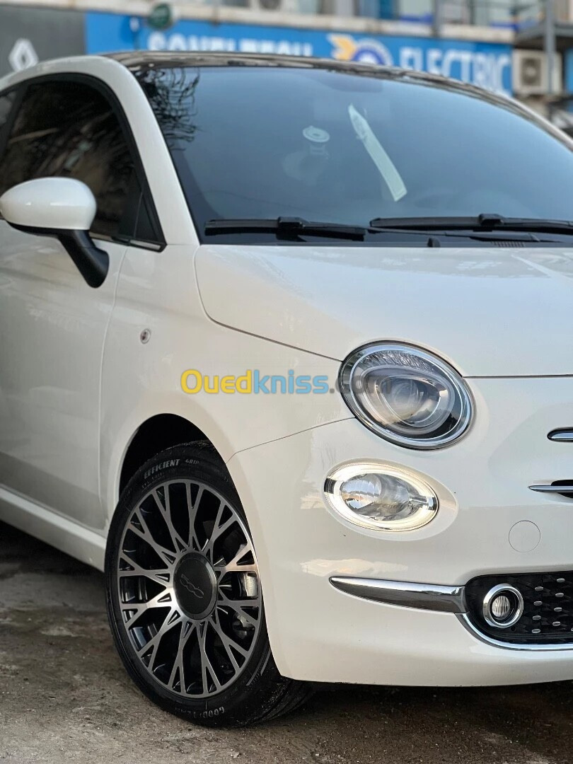 Fiat 500 2024 Dolchifita