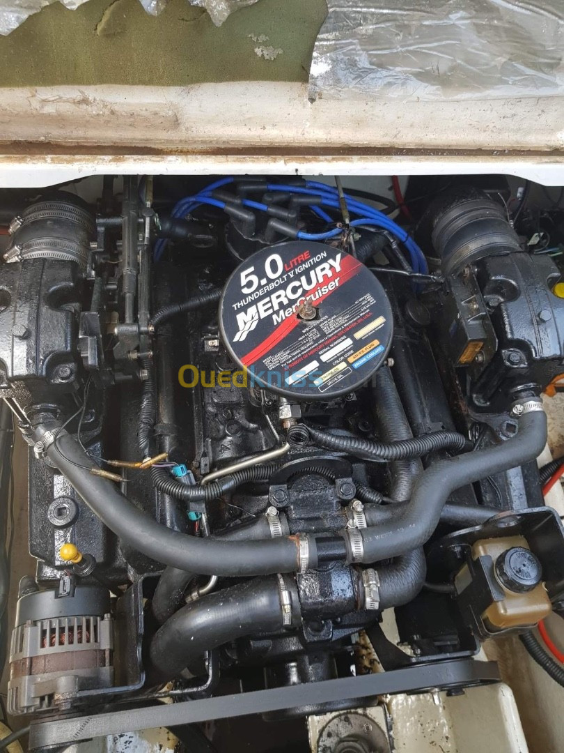 5.0 L Mercury in bord 1995