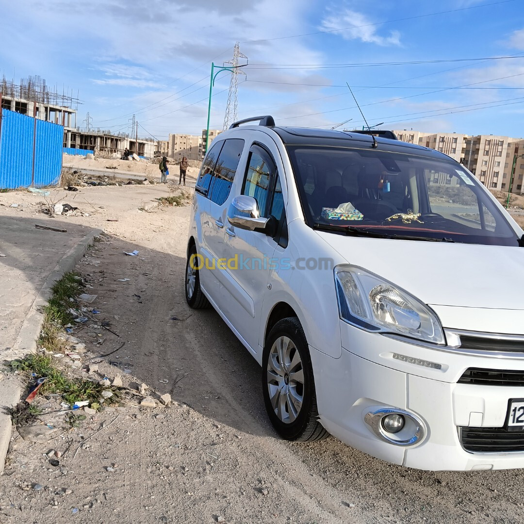 Citroen Berlingo 2014 Berlingo