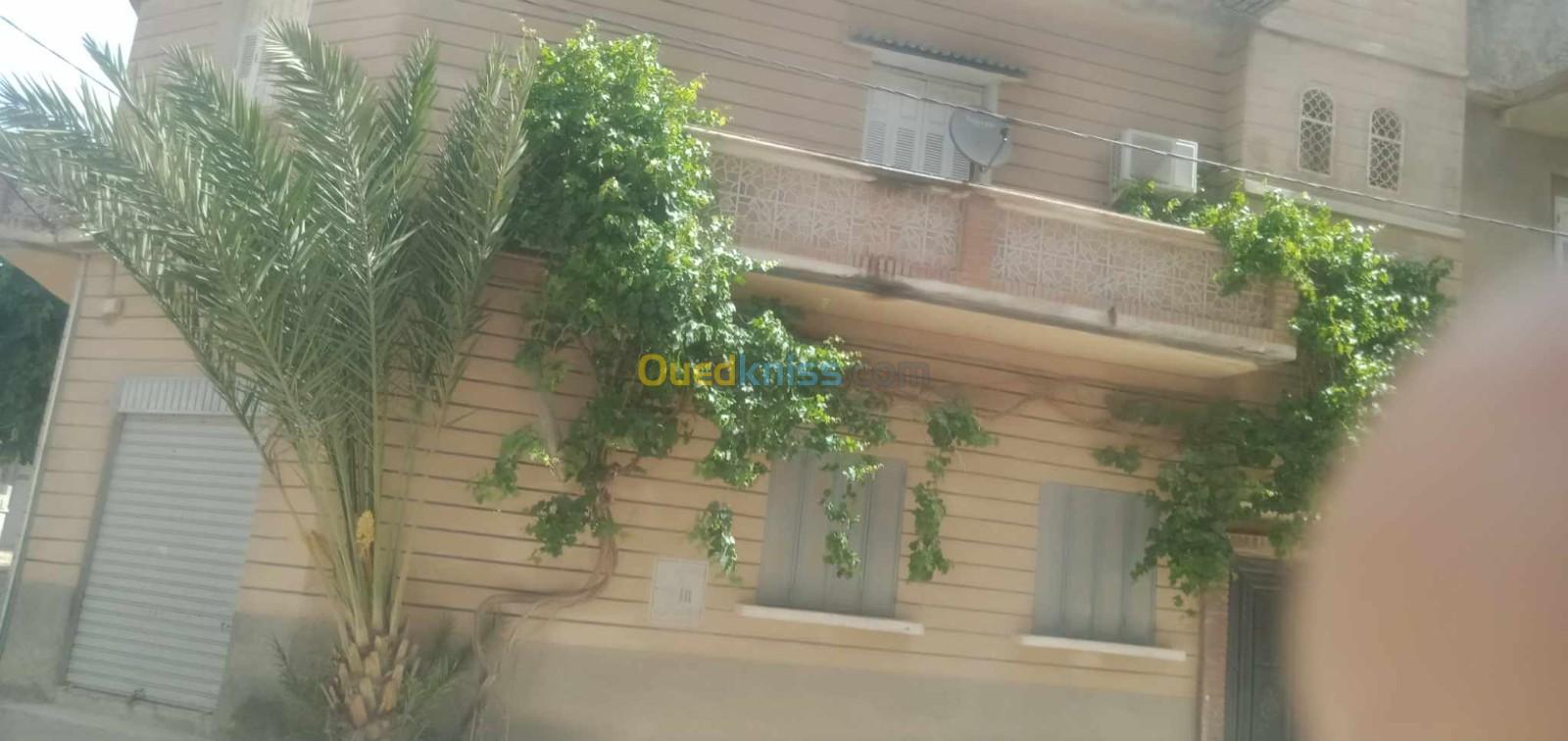 Vente Appartement F5 Sétif Guelal