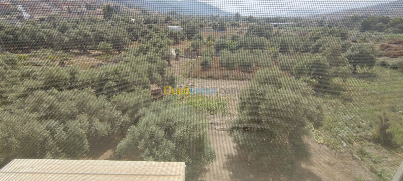 Location Appartement F3 Béjaïa Bejaia