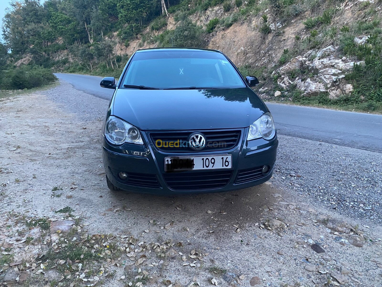 Volkswagen Polo 2009 Polo